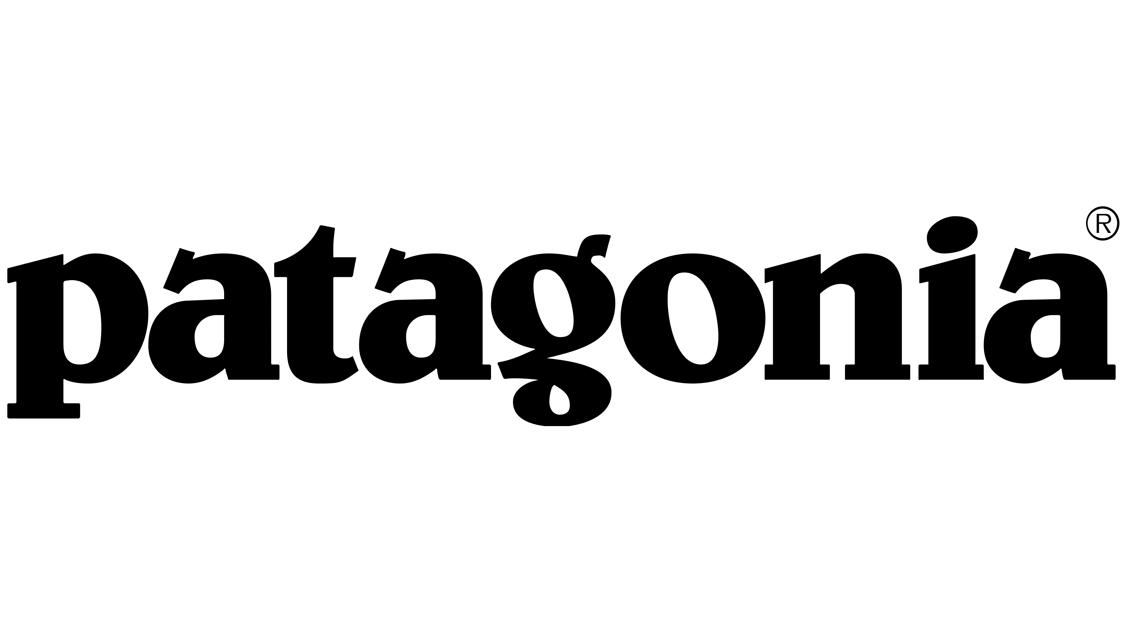 patagonia logo